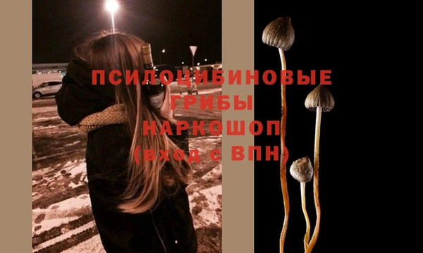 сатива Алзамай