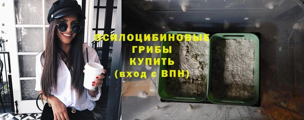 круглые Алексеевка