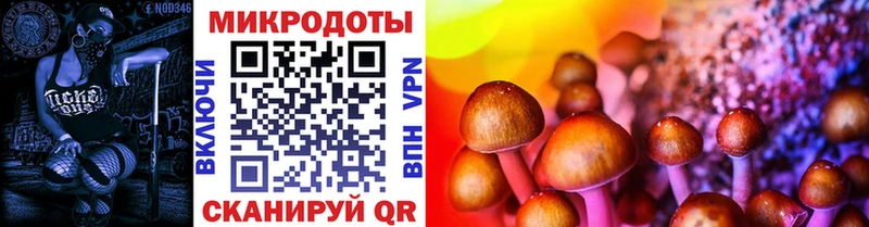 Псилоцибиновые грибы Magic Shrooms  Советская Гавань 