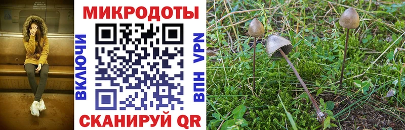 Псилоцибиновые грибы мухоморы Советская Гавань